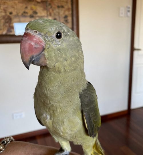 63110219129__3ECCAF4E-DA76-4D2B-BAA1-6878B66EE3FA