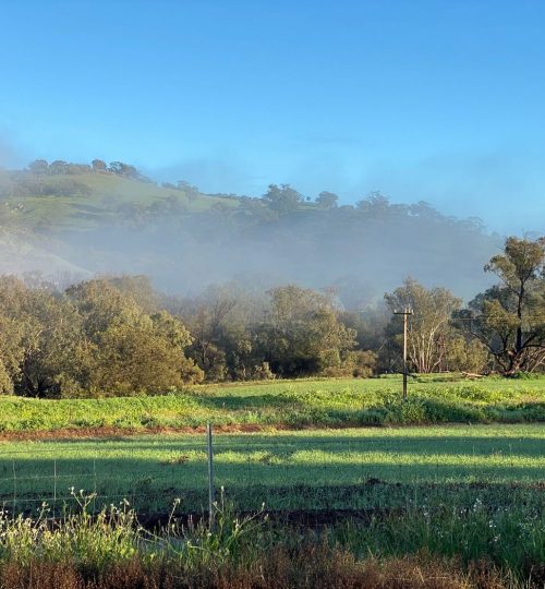 sandalwood downs bed & breakfast