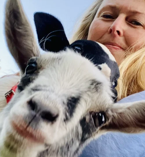 image0-3-64f8841663374