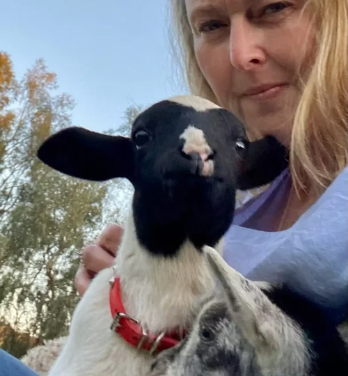 image3-1-64f88432bf9bb